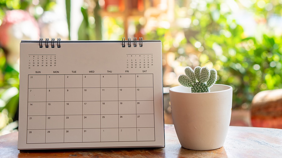 Calendar visual