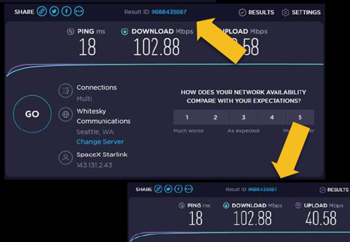 Screenshot showing two tests with identical ID numbers